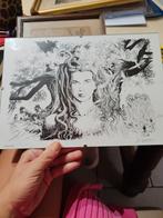 Lithografie van Jean Claude Servais, Ophalen