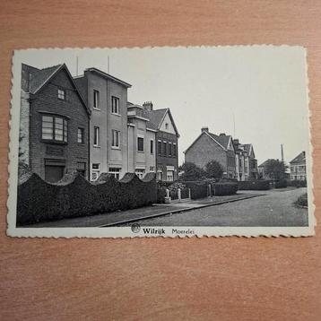 Wilrijk 2 kaartjes  beschikbaar voor biedingen
