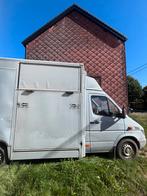 Mercedes sprinter automaat Paardencamion, Ophalen, Gebruikt