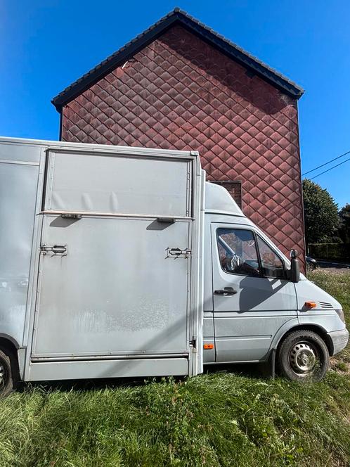 Mercedes sprinter automaat Paardencamion, Dieren en Toebehoren, Paarden en Pony's | Trailers en Aanhangwagens, Gebruikt, Ophalen
