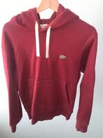 Sweat-shirt Lacoste bordeaux édition limitée, Ophalen of Verzenden, Zo goed als nieuw