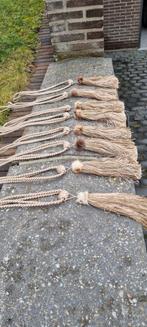 9 Gordijnbinders, Enlèvement