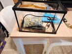 aquarium alles er bij, Dieren en Toebehoren, Reptielen en Amfibieën | Toebehoren, Ophalen of Verzenden, Zo goed als nieuw