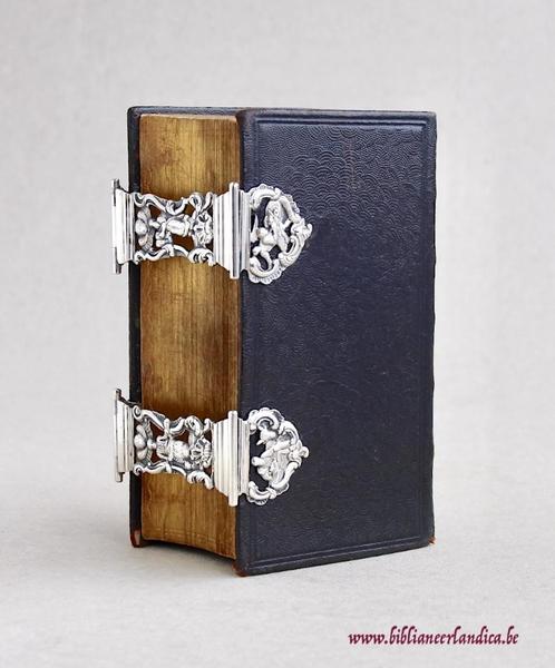 Oude BIJBEL STATENBIJBEL (1878) Prachtig opengewerkt ZILVER!, Antiek en Kunst, Antiek | Boeken en Manuscripten, Ophalen of Verzenden