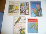 5 livres perruches, Enlèvement ou Envoi, Oiseaux