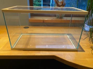 TERRARIUM 610 x 310 en 350 hoog beschikbaar voor biedingen