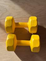 Gewichten 2 x 3kg, Sport en Fitness, Fitnessmaterialen, Ophalen, Zo goed als nieuw