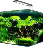 Aquarium cube 60 L complet : LED , chauffage, filtre pompe, Ophalen, Zo goed als nieuw, Leeg aquarium