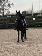 Super lieve kruising fries E pony merrie, Dieren en Toebehoren, Zadelmak, 3 tot 6 jaar, Gechipt, Recreatiepony