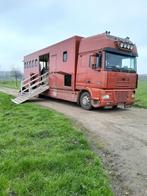 Paardenvrachtwagen, Dieren en Toebehoren, Overige typen, Ophalen of Verzenden