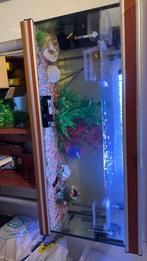 Vissen, Dieren en Toebehoren