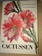 Artis De Cactussen MET WIKKEL, Ophalen of Verzenden