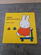 Nijntjesboek, Enlèvement