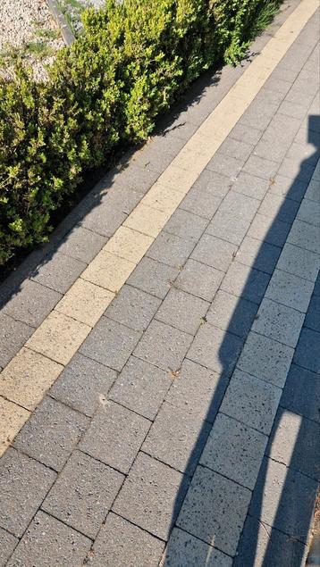 Klinkers 32m2 wegens verandering deze is maar 2 jaar gebruik beschikbaar voor biedingen