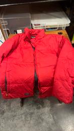 Damesjas dons rood 42, Kleding | Dames, Ophalen of Verzenden, Gedragen, Maat 42/44 (L), Rood