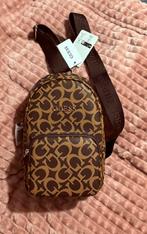 Guess rugtas, Handtassen en Accessoires, Tassen | Rugtassen, Overige merken, 25 tot 40 cm, Nieuw, Ophalen of Verzenden