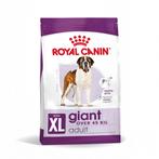 Royal Canin giant adult, Dieren en Toebehoren, Ophalen, Hond