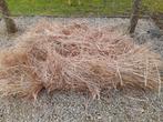 Gratis bundels gedroogd gras, Dieren en Toebehoren, Ophalen, Nieuw