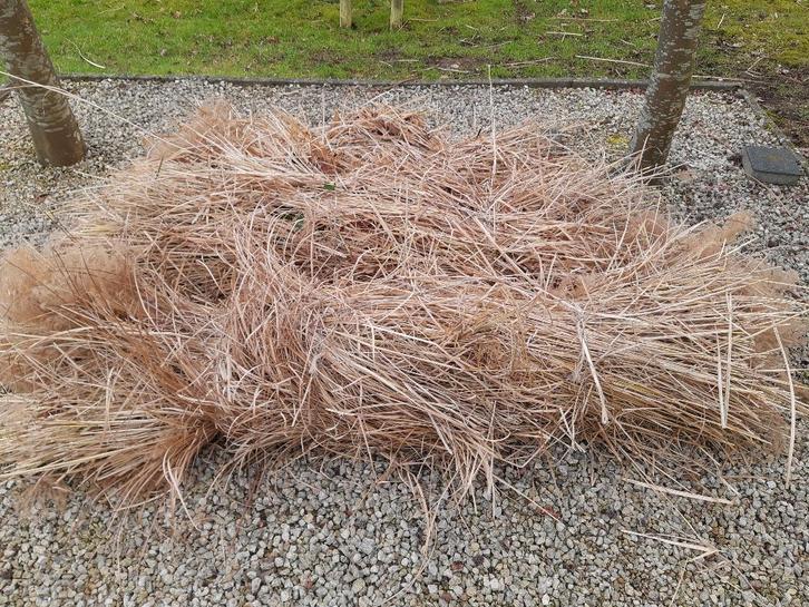 Gratis bundels gedroogd gras, Dieren en Toebehoren, Overige Dieren-accessoires, Nieuw, Ophalen