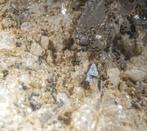 Zeldzame Belgische ANATAAS kristallen !, Enlèvement ou Envoi, Minéral