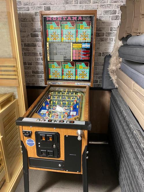 Bingo Montana Deluxe, Collections, Machines | Flipper (jeu), Utilisé, Électronique, Autres types, Autres marques, Enlèvement