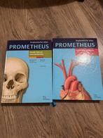 Michael Schünke - Hoofd, hals en neuroanatomie, Ophalen of Verzenden, Gelezen, Michael Schünke; Erik Schulte; Udo Schumacher