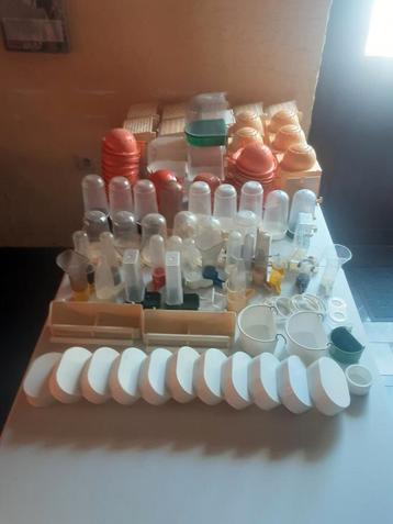 Kweekbakjes en eetbakjes beschikbaar voor biedingen