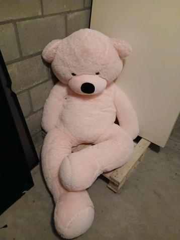 Roze Teddybeer 180cm beschikbaar voor biedingen