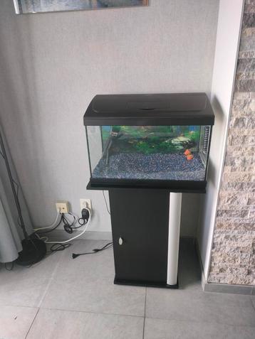 Aquarium (50l) incl. Zwarte voet met kast en toebehoren, Dieren en Toebehoren, Ophalen, Zo goed als nieuw, Leeg aquarium