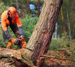 Gratis vellen van bomen, Ophalen of Verzenden