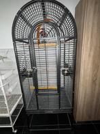 Cage perroquet, Dieren en Toebehoren, Ophalen, Zo goed als nieuw