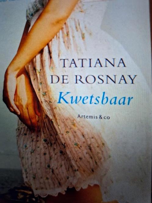 Tatiana de Rosnay -  Kwetsbaar, Livres, Littérature, Comme neuf, Enlèvement
