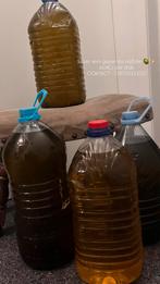 5 L - Vers geperste OLIJFOLIE / 1L - Ook Beschikbaar 2025, Tuin en Terras, Ophalen, Overige soorten