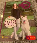 D5R, het verhaal van Amber, Comme neuf, Enlèvement ou Envoi, Jan Ruysbergh, Fiction