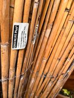 Bamboo schutting (nog niet gebruikt), Tuin en Terras, Ophalen, 200 cm of meer, Zo goed als nieuw, 200 cm of meer