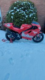 Yamaha rd500 / yzr500 Max Biaggi Replica, Motoren, 4 cilinders, Motorrijbewijs A, Super Sport, Particulier