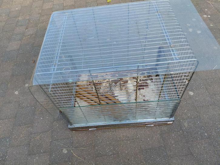grote vogelkooi, Dieren en Toebehoren, Vogels | Hokken en Kooien, Gebruikt, Vogelkooi, Metaal, Ophalen