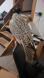 Te koop informatie .0465138239, Ophalen of Verzenden