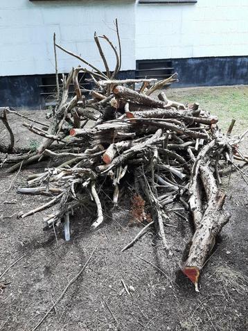 Brandhout - Stookhout - Divers hout beschikbaar voor biedingen