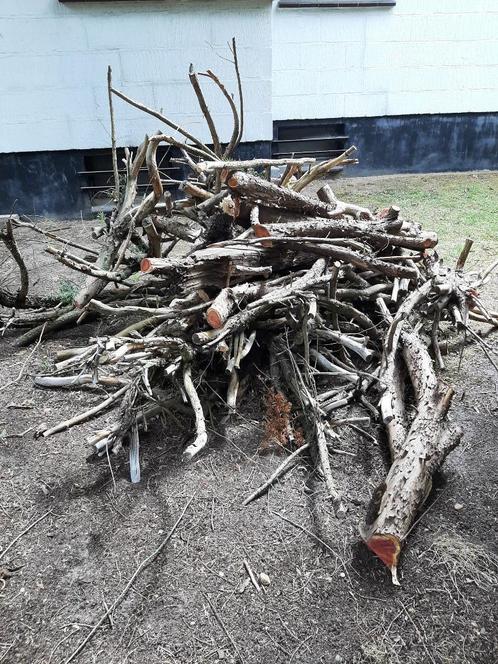 Brandhout - Stookhout - Divers hout, Tuin en Terras, Brandhout, Overige houtsoorten, Ophalen