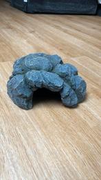 Grotje reptielen, Dieren en Toebehoren, Ophalen