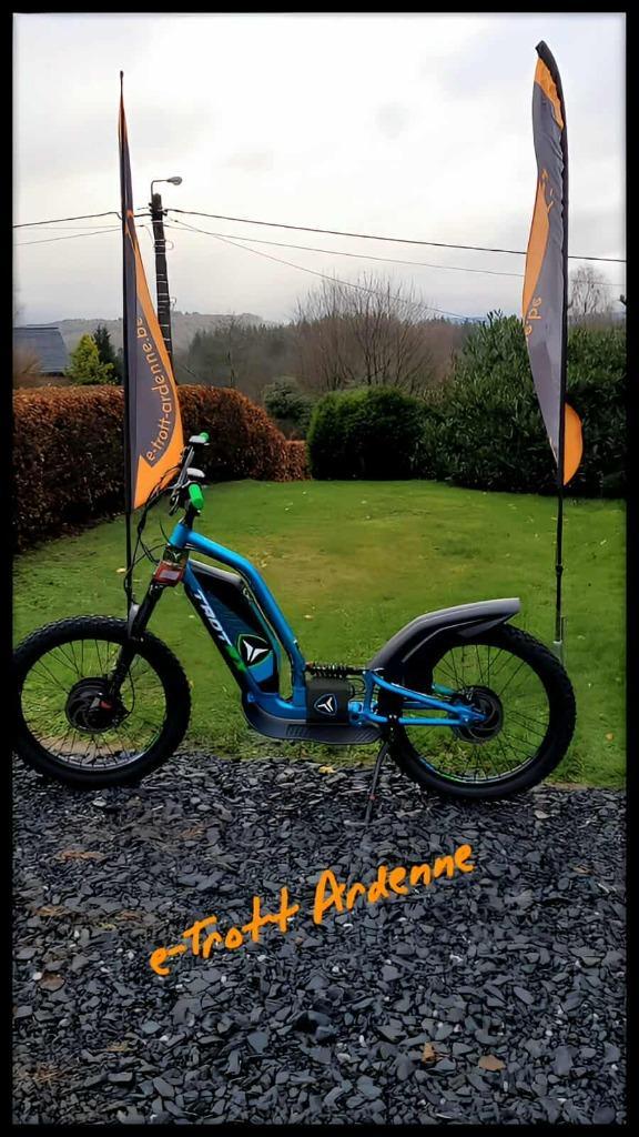 Entreprise de Trottinettes électriques à vendre, Divers, Divers Autre, Utilisé, Enlèvement ou Envoi