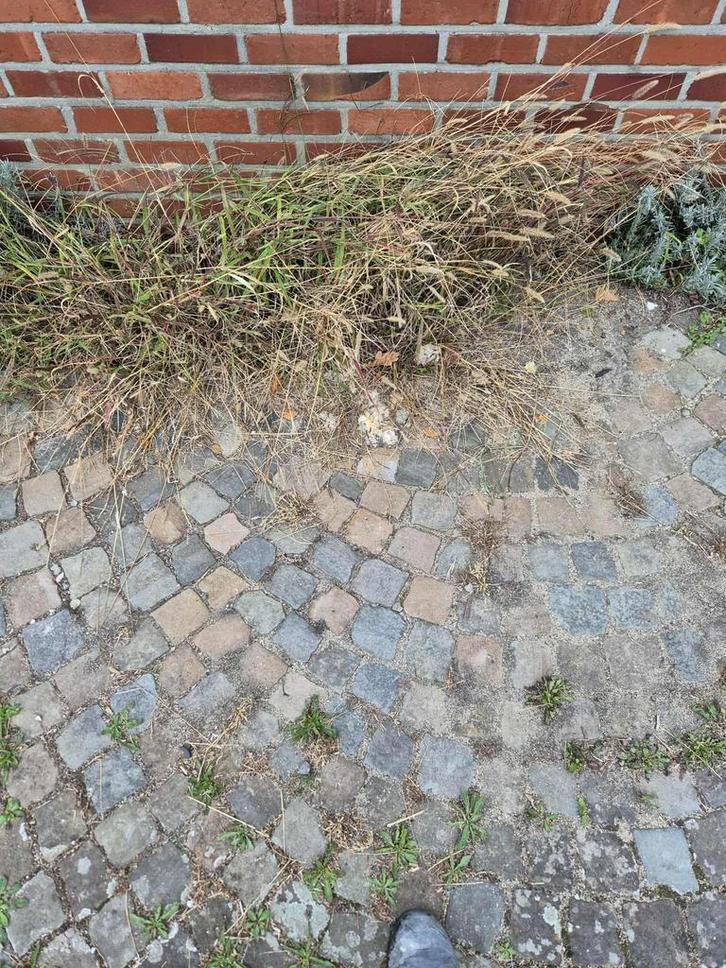 Tweedehands granieten kasseien (kinderdkopkes), Tuin en Terras, Tegels en Klinkers, Gebruikt, Overige typen, Natuursteen, 10 m² of meer