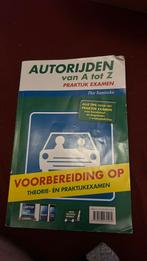 Boek rijbewijs theorie en praktijk, Ophalen of Verzenden, Gelezen, Flor Koninckx