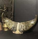 Kaapse Buffel / Kaffer Buffel Horens, Antiek en Kunst, Verzenden