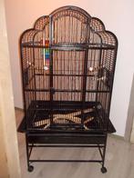 papegaaienkooi, Dieren en Toebehoren, Ophalen, Gebruikt, Vogelkooi