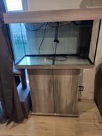 aquarium, Dieren en Toebehoren, Ophalen, Gebruikt, Leeg aquarium