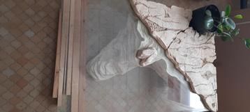 Salontafel glas beschikbaar voor biedingen