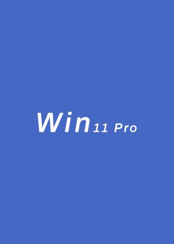 MS Win 11 Pro OEM KEY GLOBAL-Lifetime beschikbaar voor biedingen
