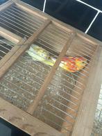 Paire de lunettes rouges